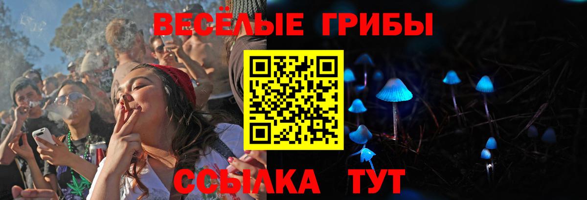 Галлюциногенные грибы GOLDEN TEACHER  Галлюциногенные грибы GOLDEN TEACHER  Вход с VPN  Рассказово 